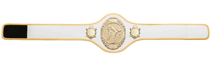 KICKBOXING CHAMPIONSHIP BELT-PRO286/G/KBOG-10+ COLOURS